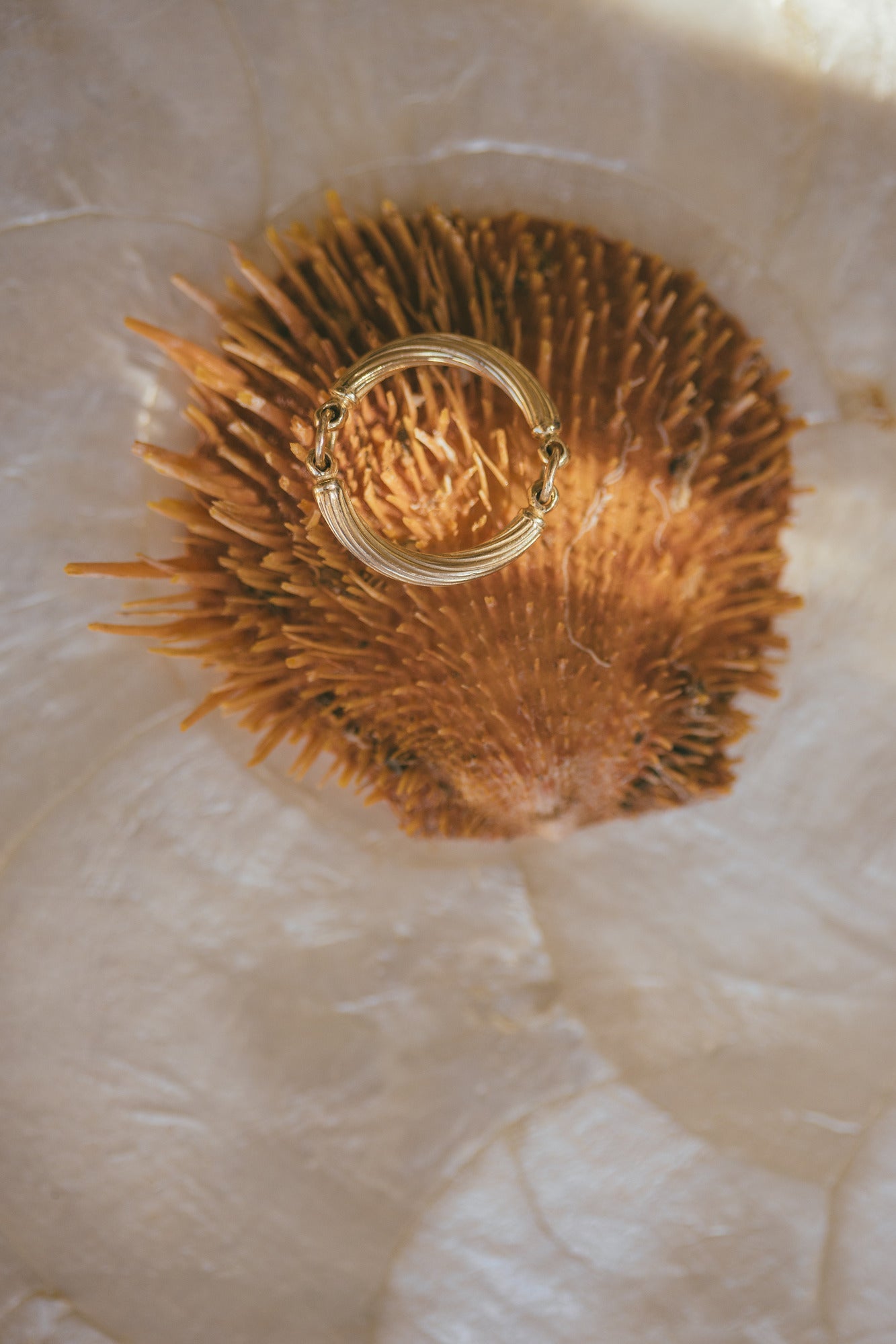 A CLOSE UP IMAGE OF THE GOLD HANSEN RING