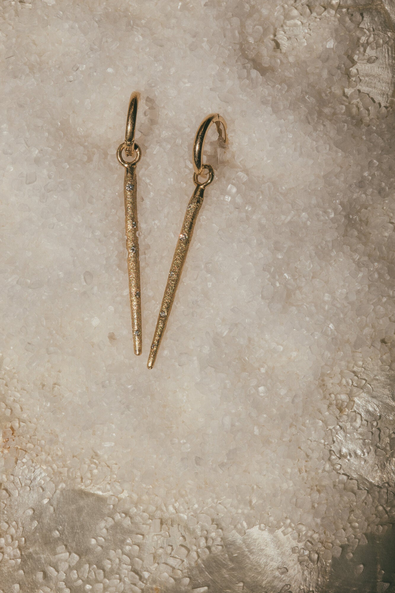 gold sea urchin earrings sitting in salt