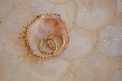 THE GOLD HANSEN RING ON A SEA SHELL