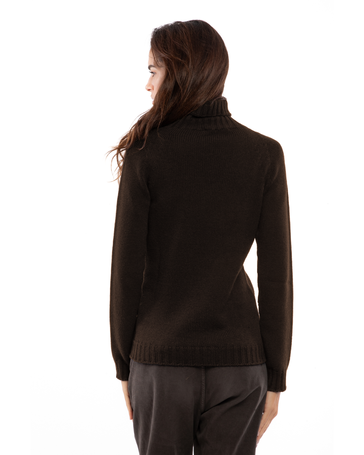 Women's cashmere raglan sleeve turtleneck sweater in Coffee, back view on a model