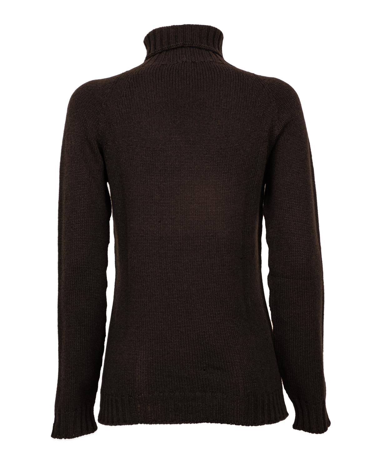 Women's cashmere raglan sleeve turtleneck sweater in Coffee, back product view