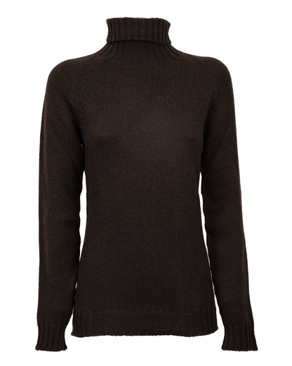Women's cashmere raglan sleeve turtleneck sweater in Coffee, front product view