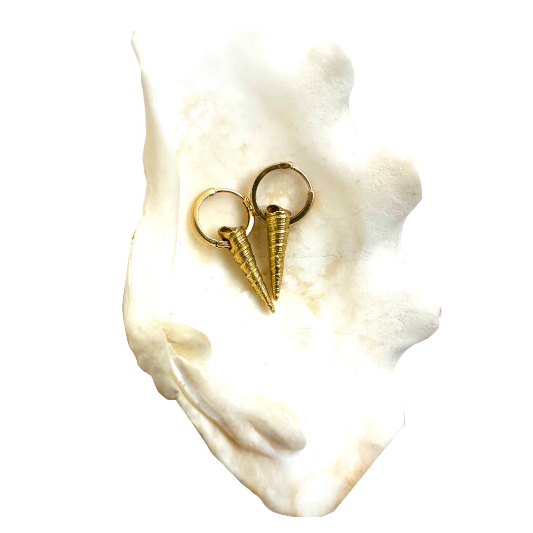 14KT POKER SHELL EARRINGS