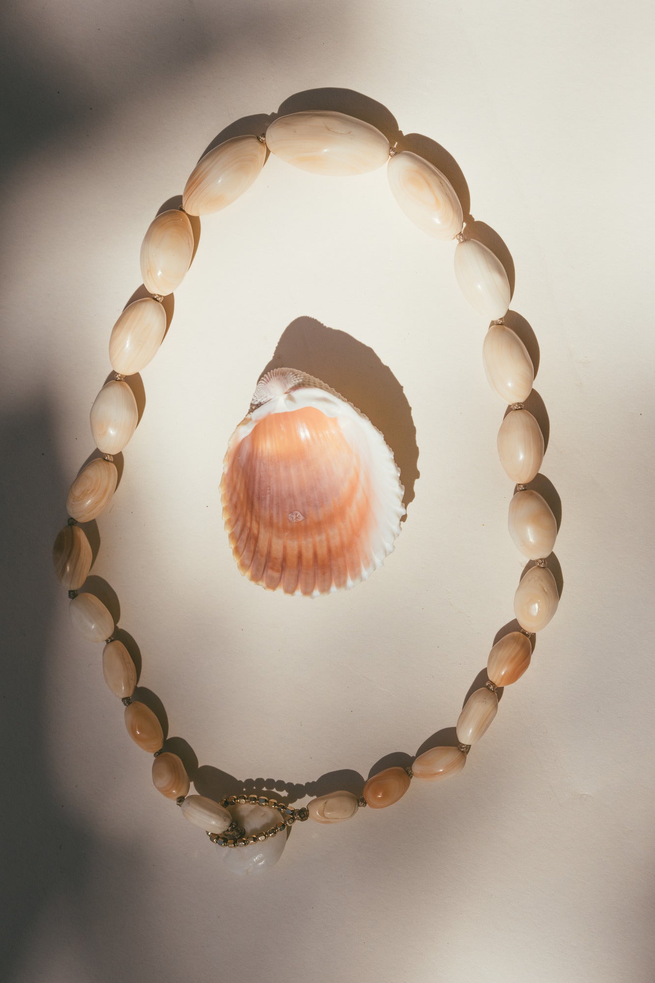  VINTAGE CONCH CHOKER WITH A SEA SHELL IN THE MIDDLE OF THE CHOCKER 